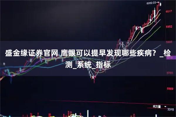 盛金缘证券官网 鹰眼可以提早发现哪些疾病?_检测_系统_指标