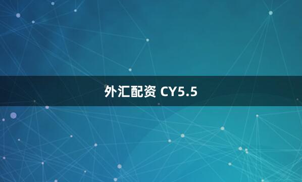 外汇配资 CY5.5