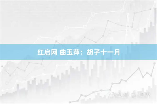 红启网 曲玉萍：胡子十一月