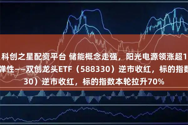 科创之星配资平台 储能概念走强，阳光电源领涨超15%！20CM高弹性——双创龙头ETF（588330）逆市收红，标的指数本轮拉升70%